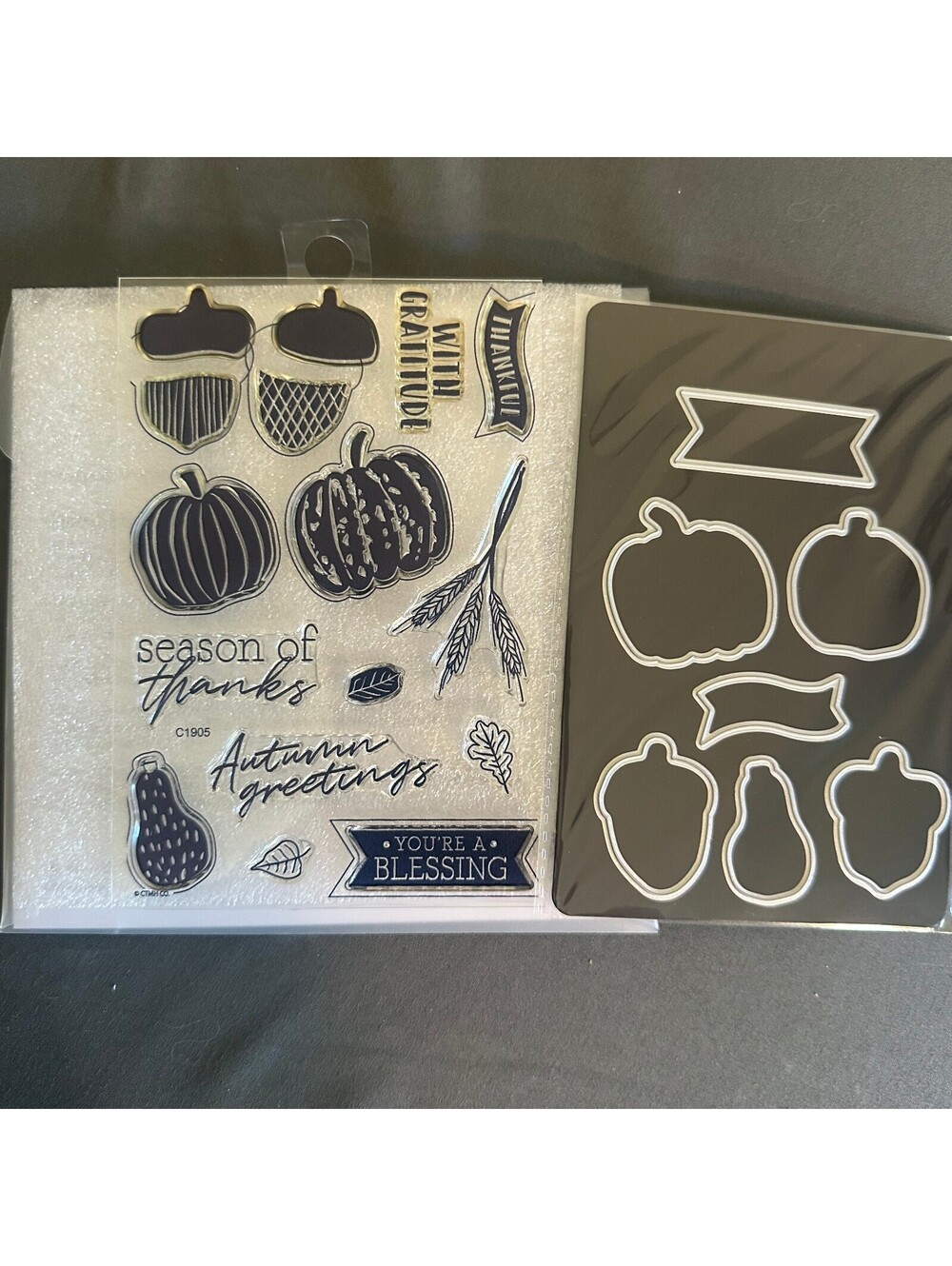 Close To My Heart Pumpkin Spice Acrylic Stamp and Thin Cut Set